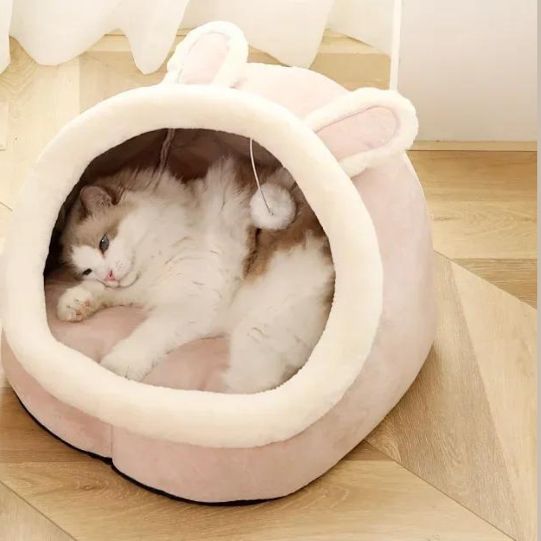 Sweet Soft Pet Bed Js