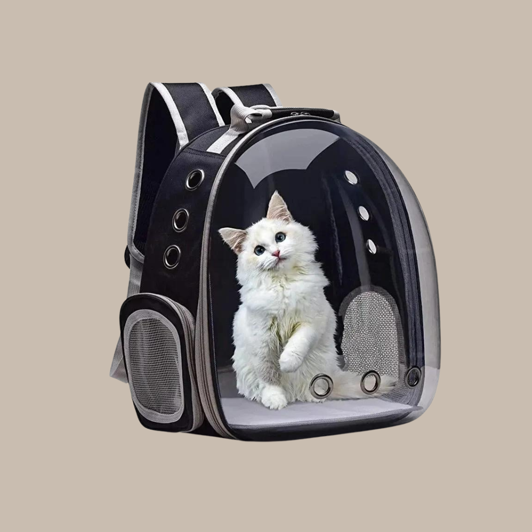 Puppy Kitty Carrier Bag Js