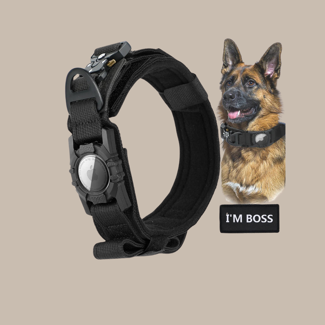 Military Dog GPS Js