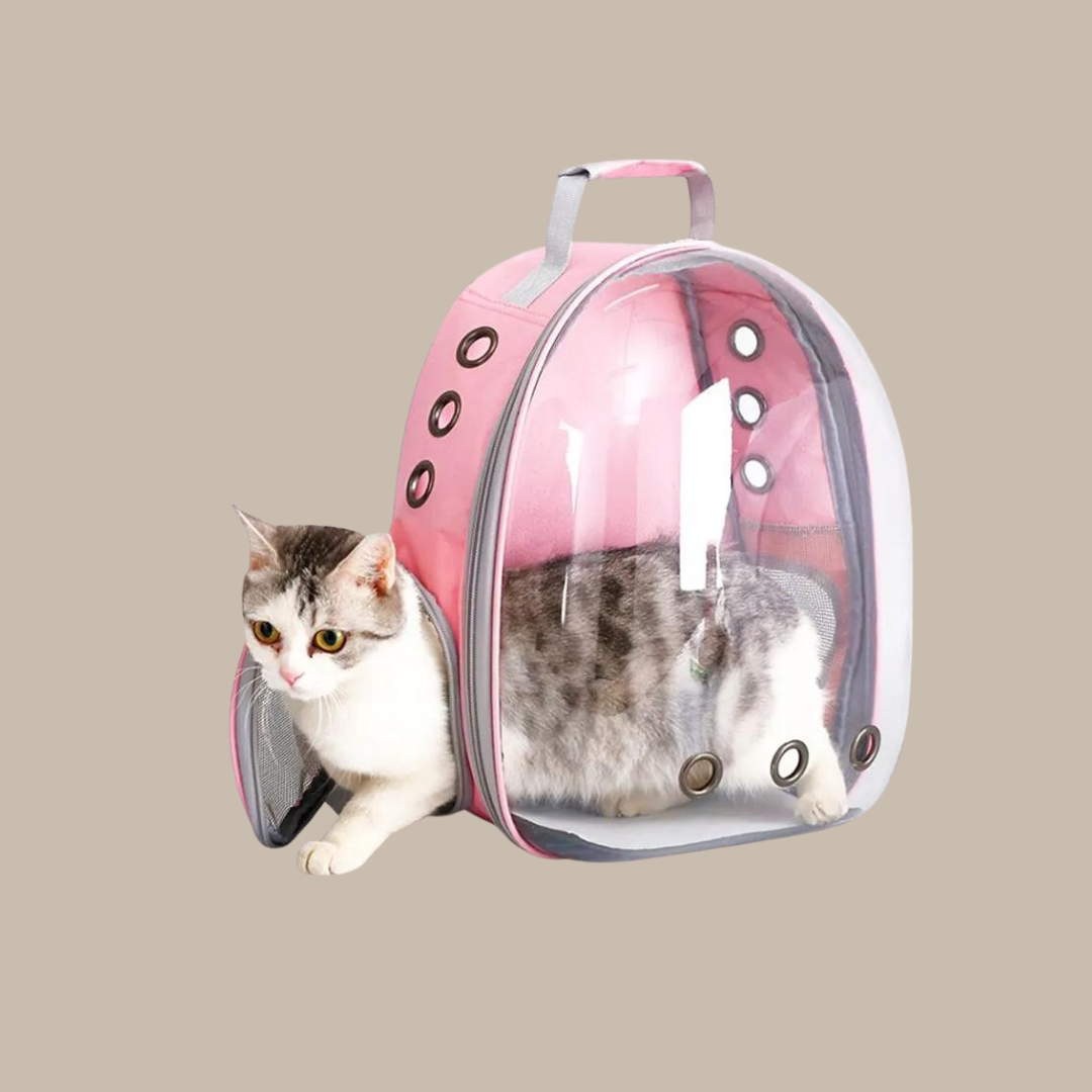 Puppy Kitty Carrier Bag Js