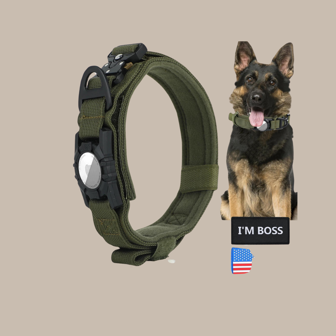 Military Dog GPS Js