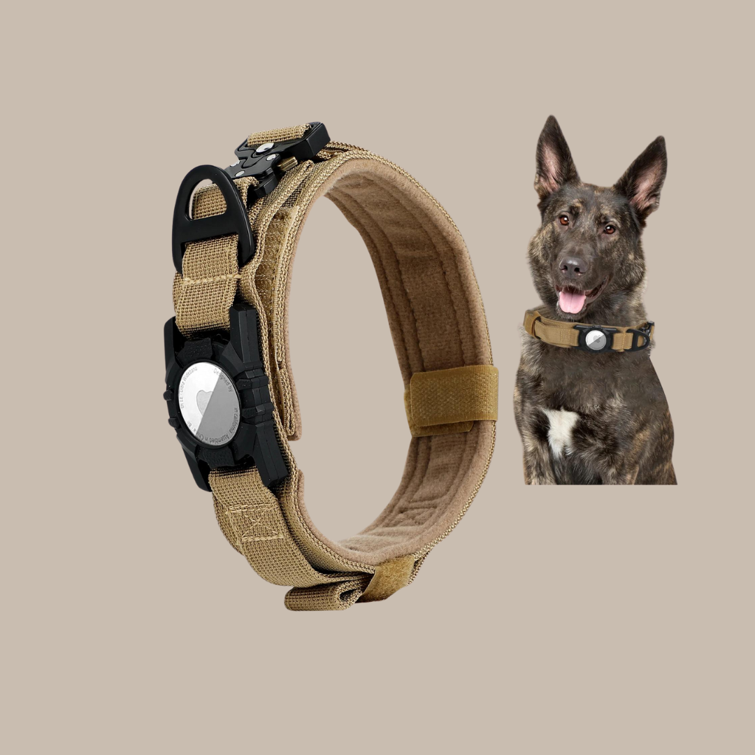 Military Dog GPS Js