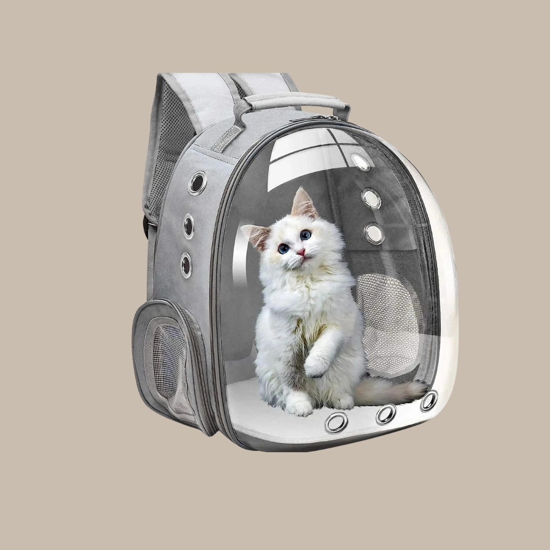 Puppy Kitty Carrier Bag Js