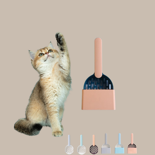 Cat Toilet Clean Tools Js