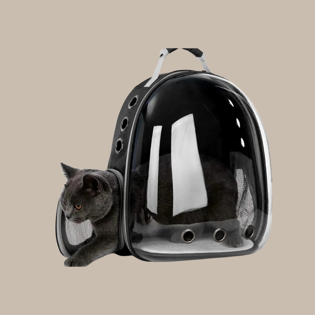 Puppy Kitty Carrier Bag Js