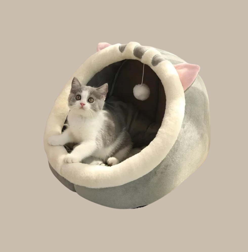 Sweet Soft Pet Bed Js