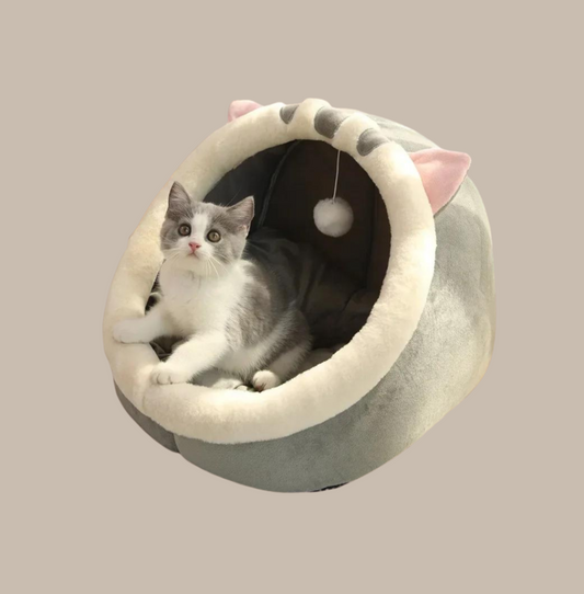 Sweet Soft Pet Bed Js