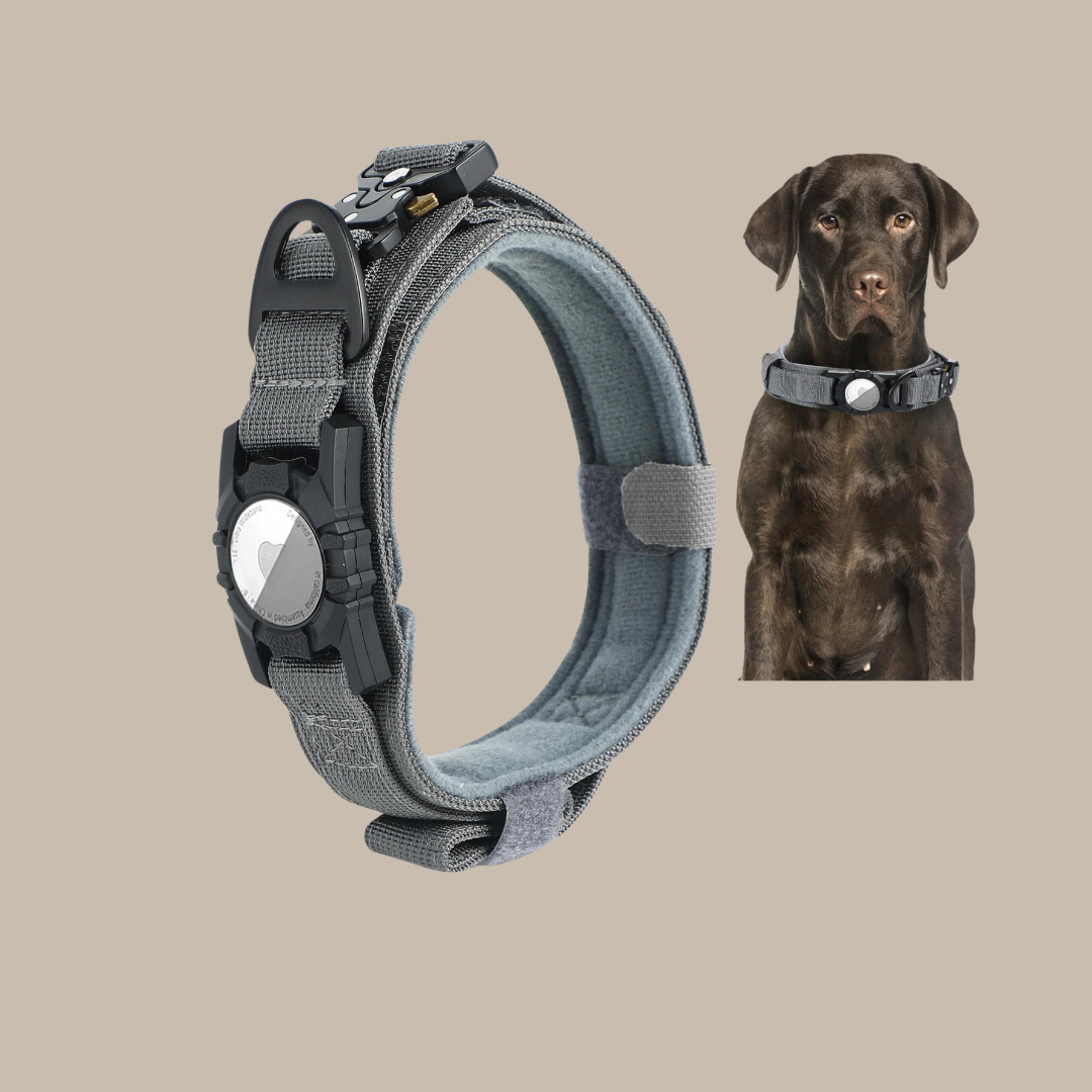 Military Dog GPS Js