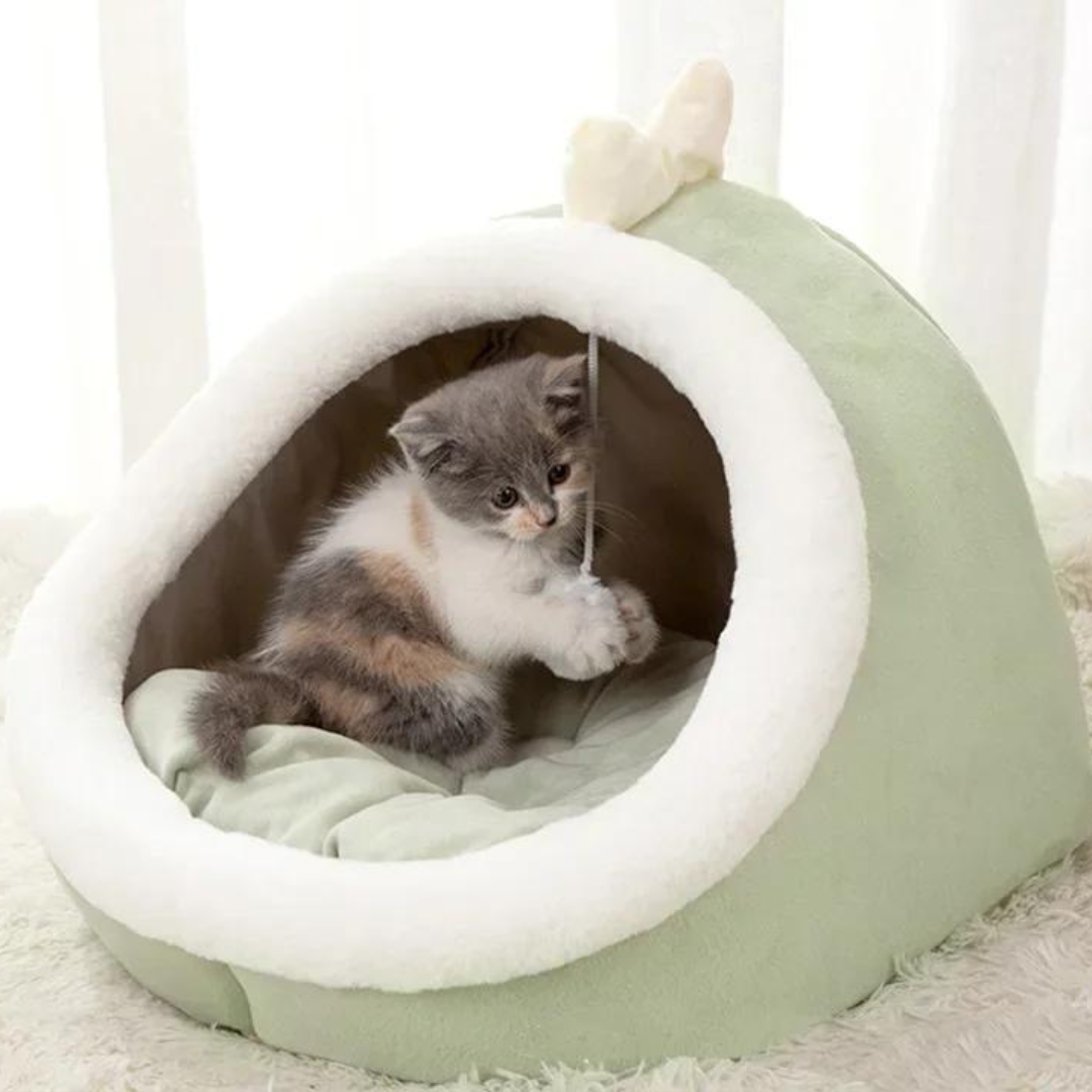 Sweet Soft Pet Bed Js