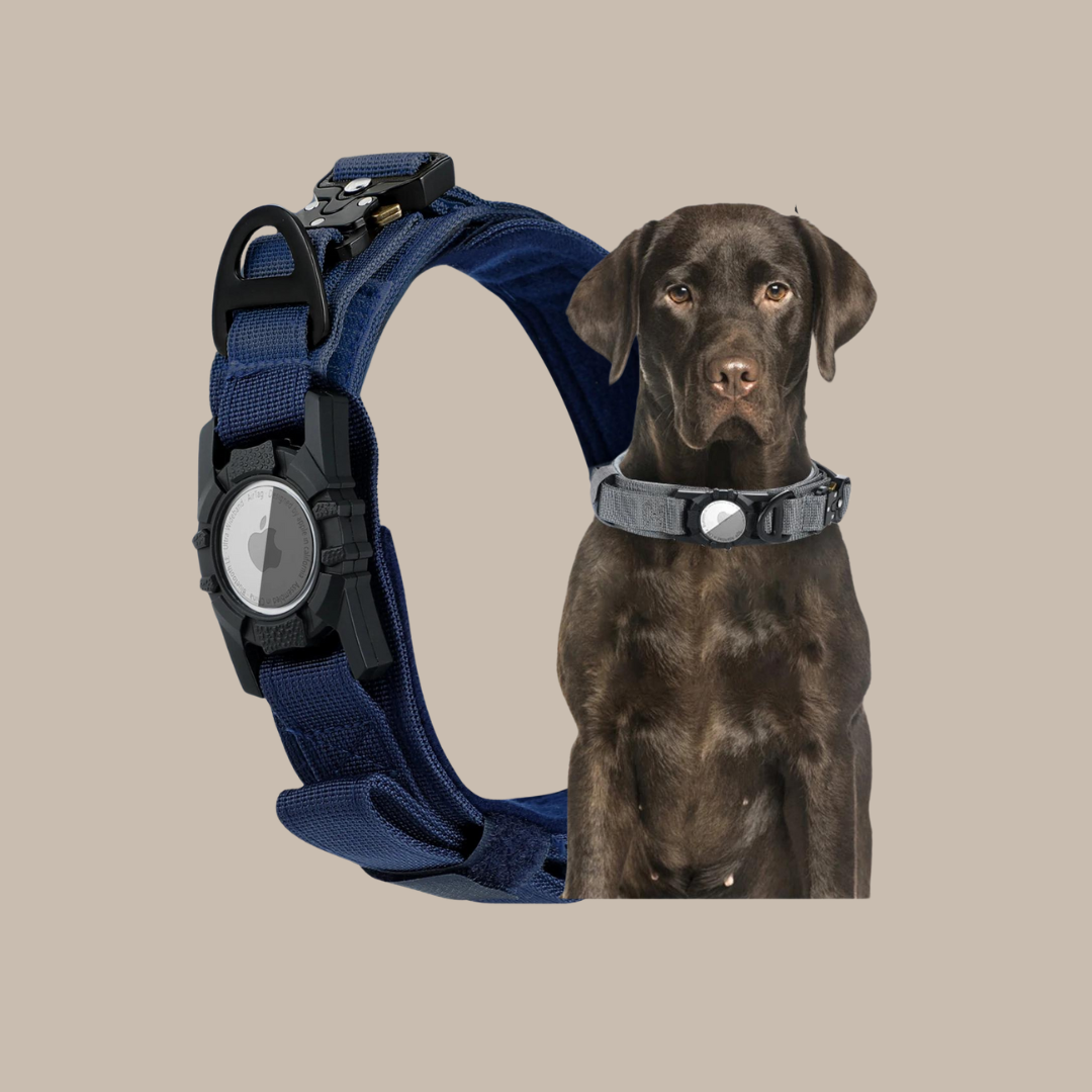 Military Dog GPS Js