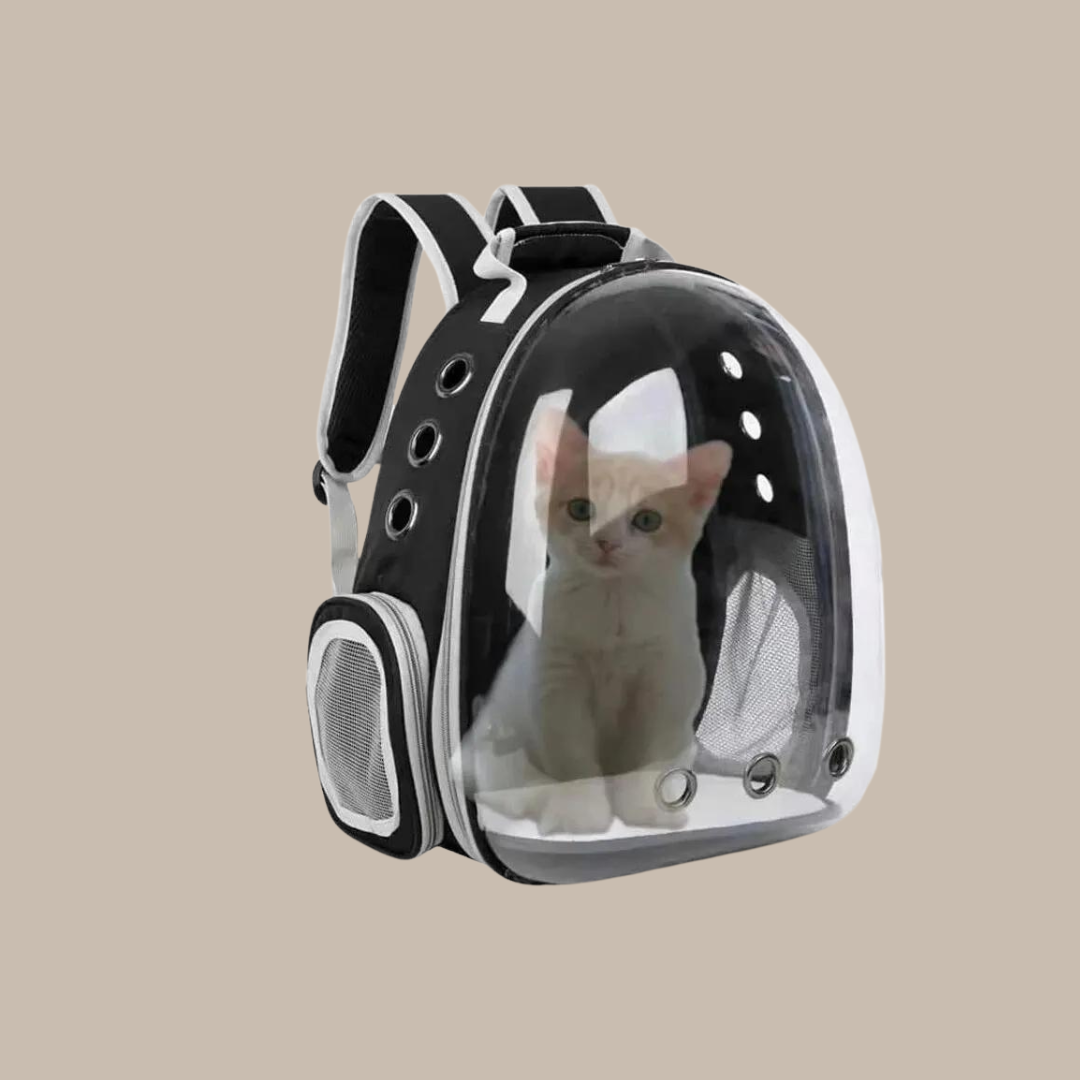 Puppy Kitty Carrier Bag Js