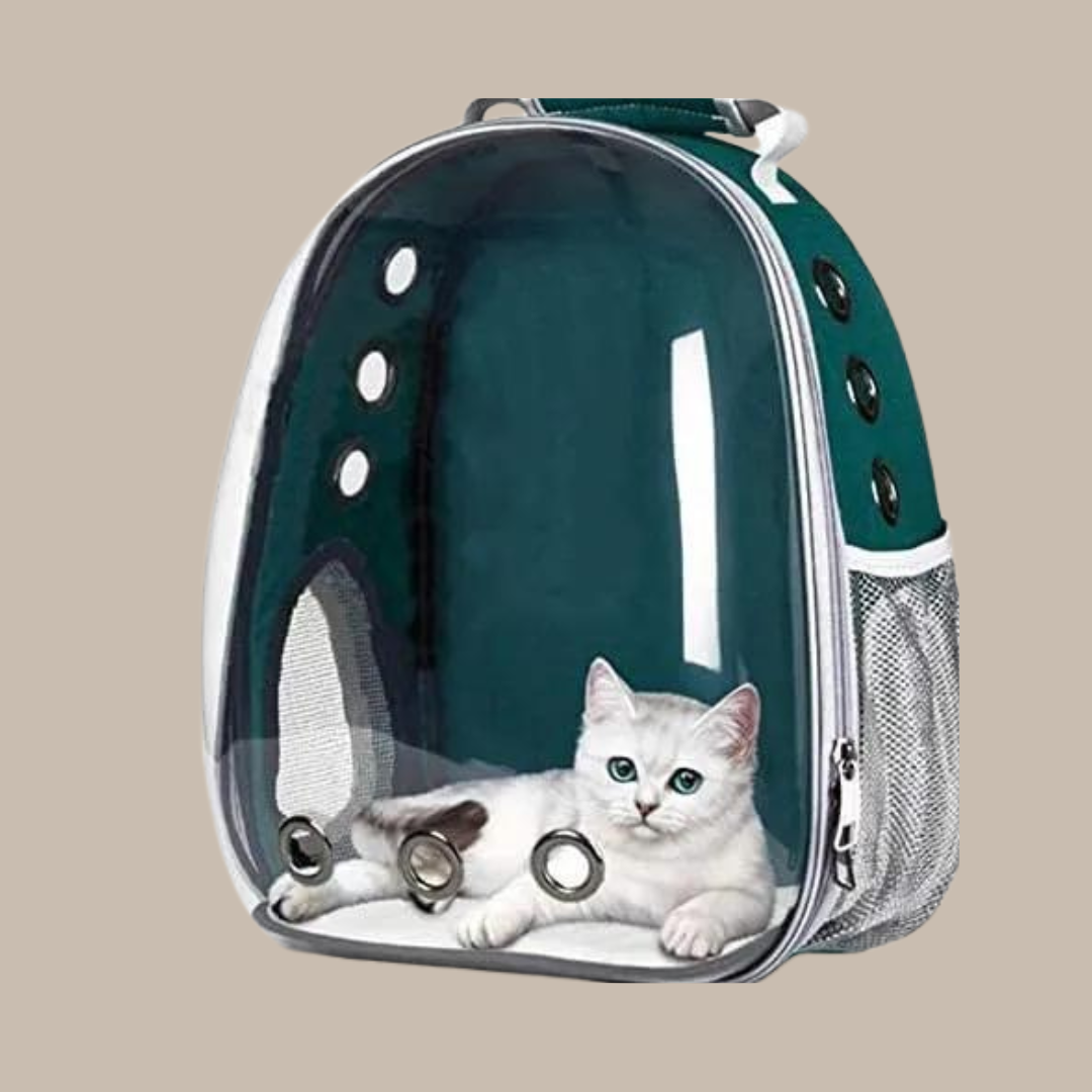 Puppy Kitty Carrier Bag Js