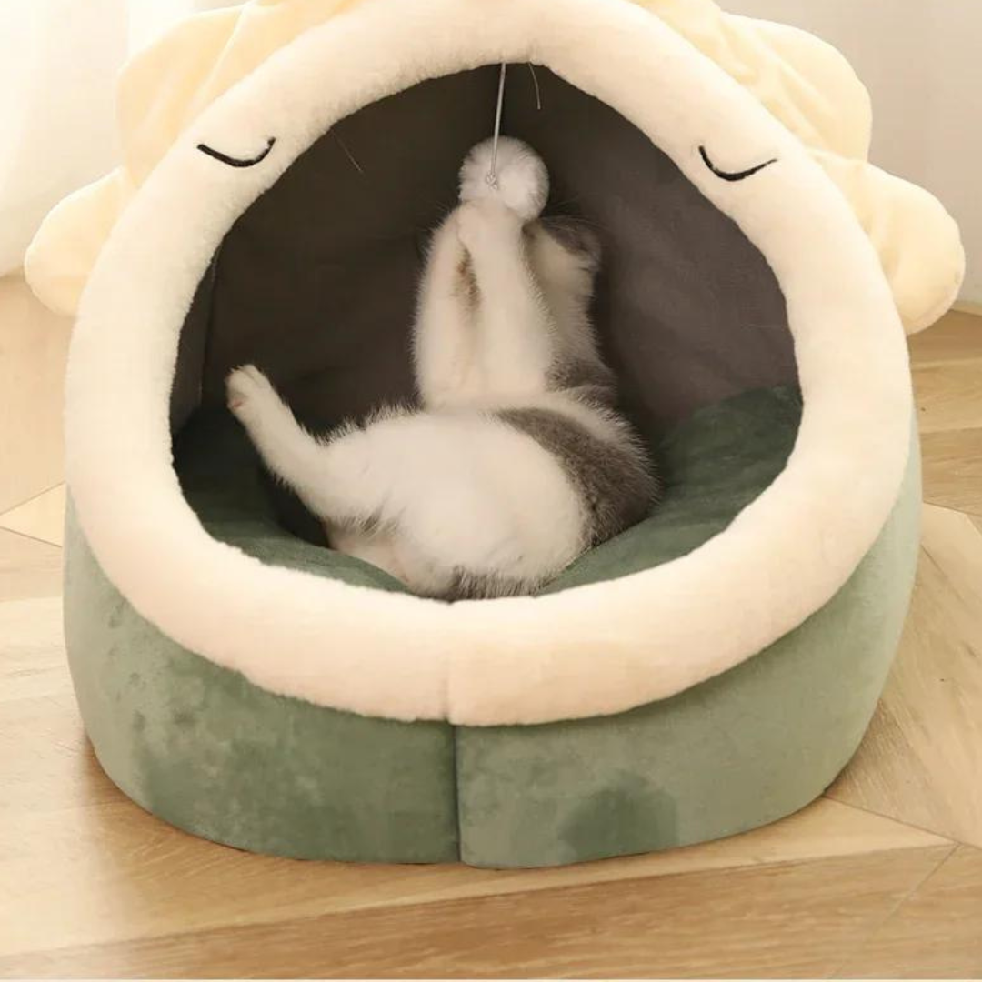 Sweet Soft Pet Bed Js