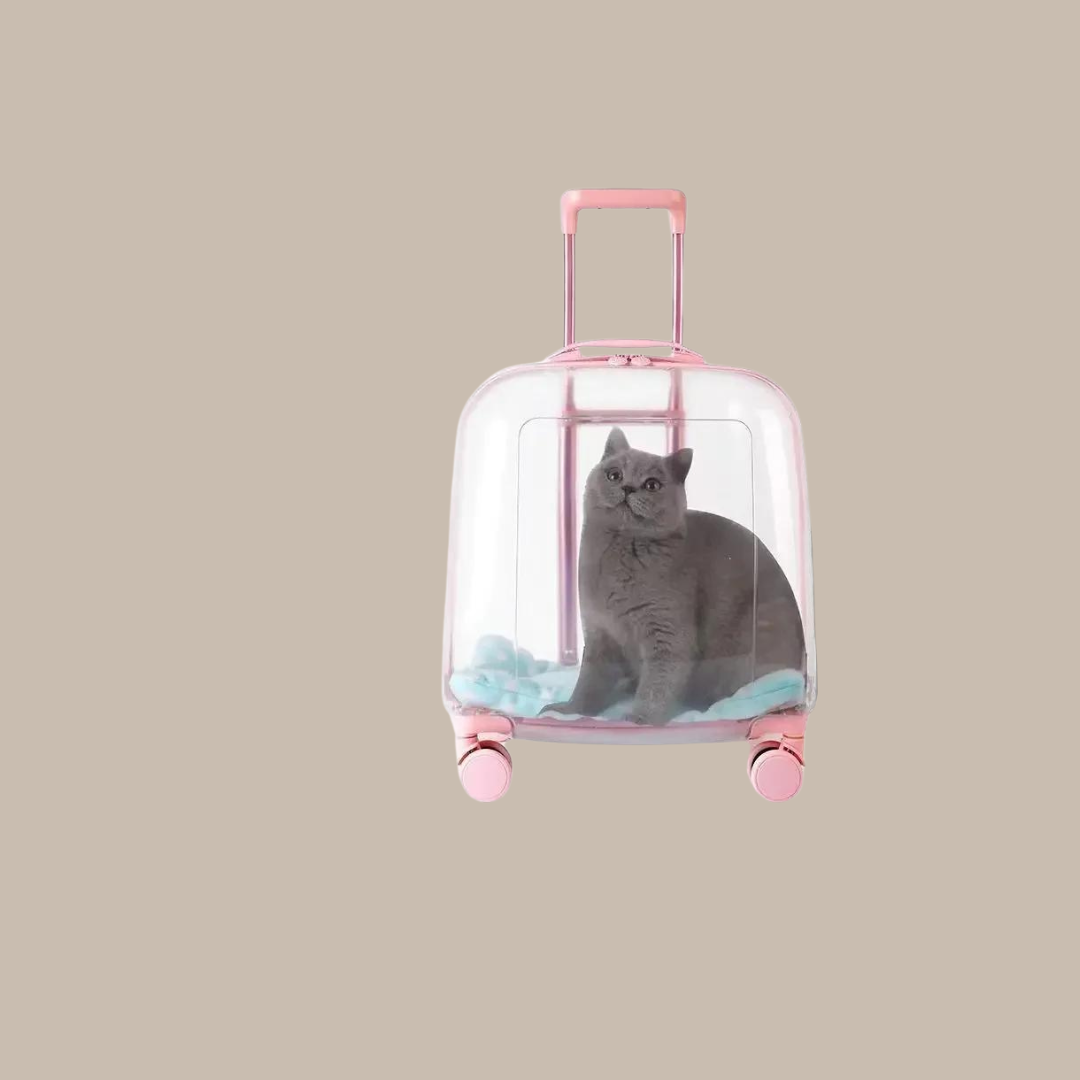 Cat Carrier Portable Bag Js