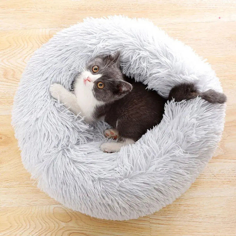 Double Layer Cat Mat Js