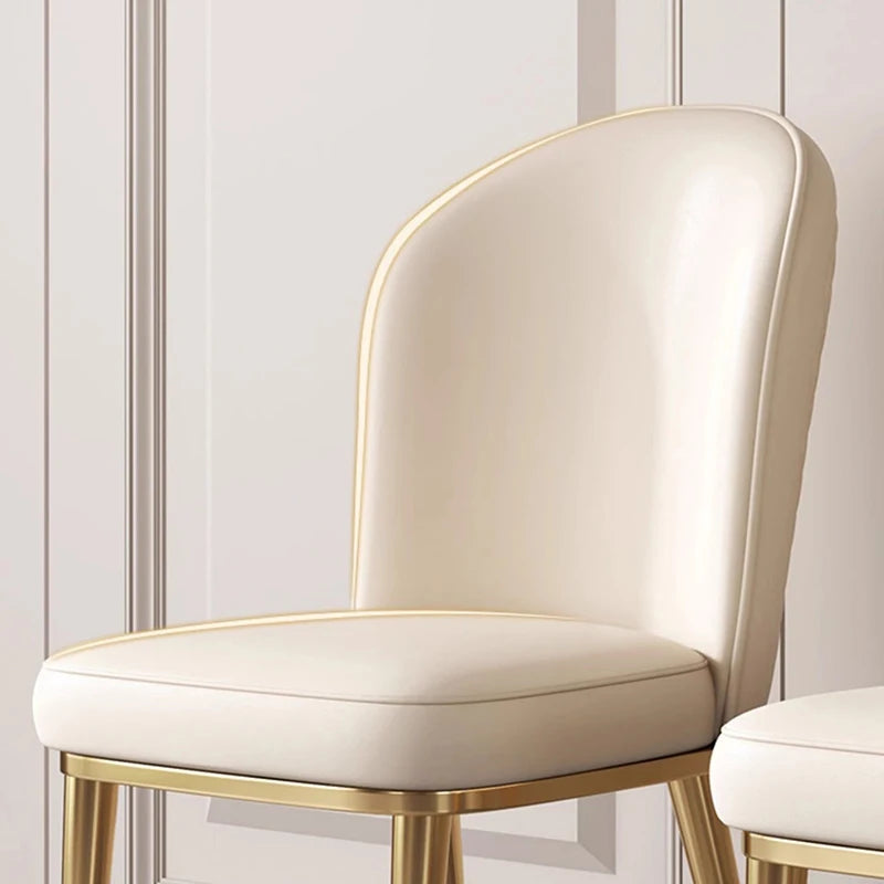 Luxury Modern Dining Chair White Nordic Vakasi