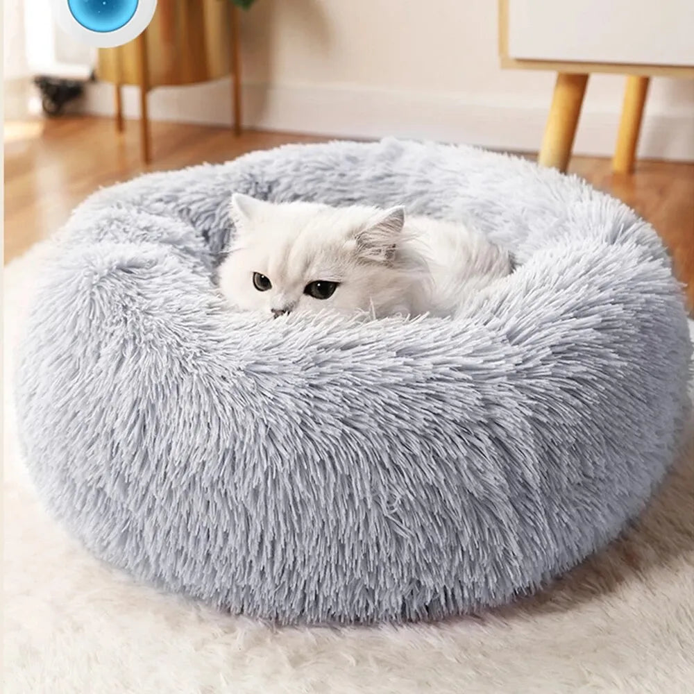 Double Layer Cat Mat Js