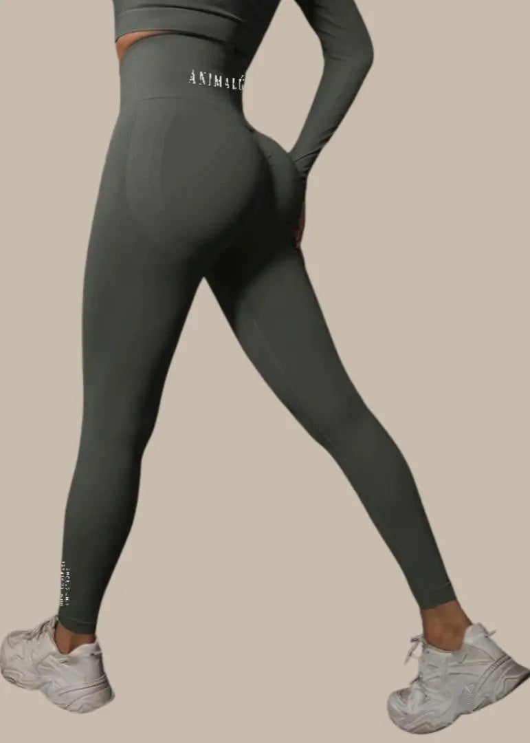 Seamless Yoga Leggings Va