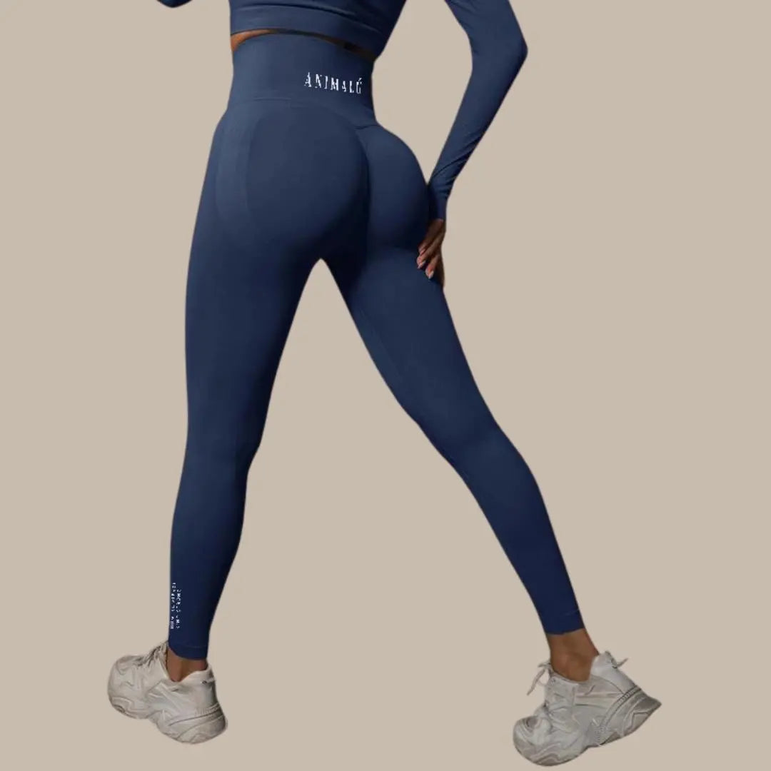 Seamless Yoga Leggings Va