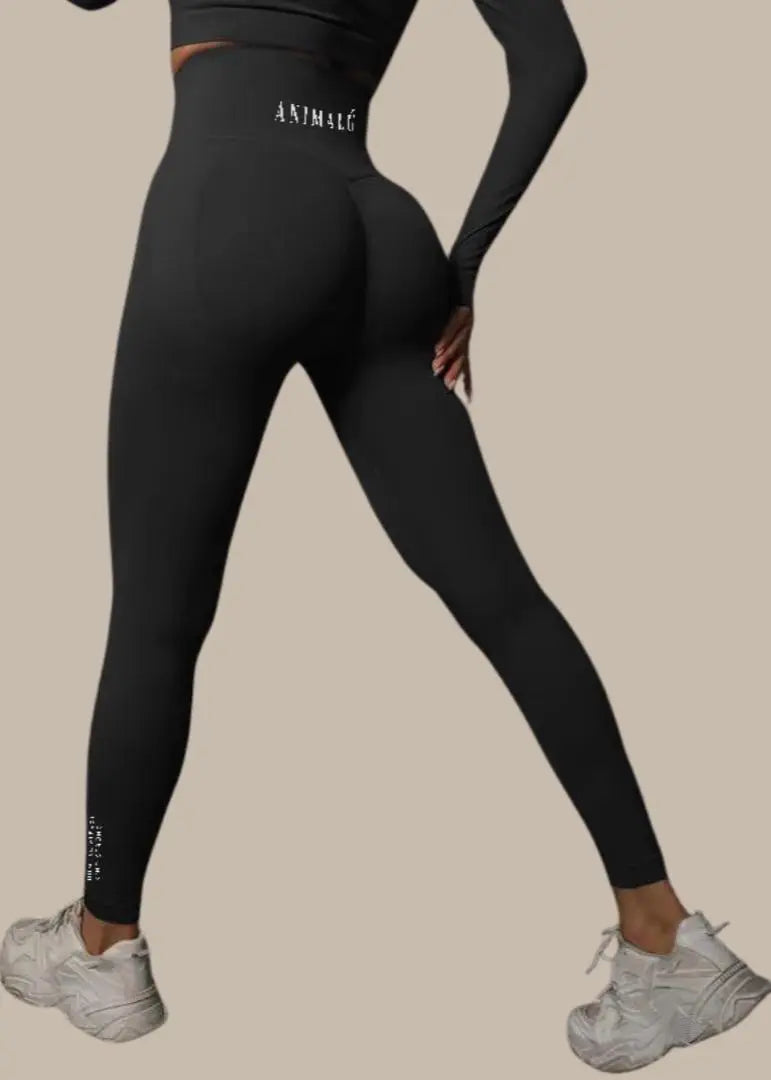 Seamless Yoga Leggings Va