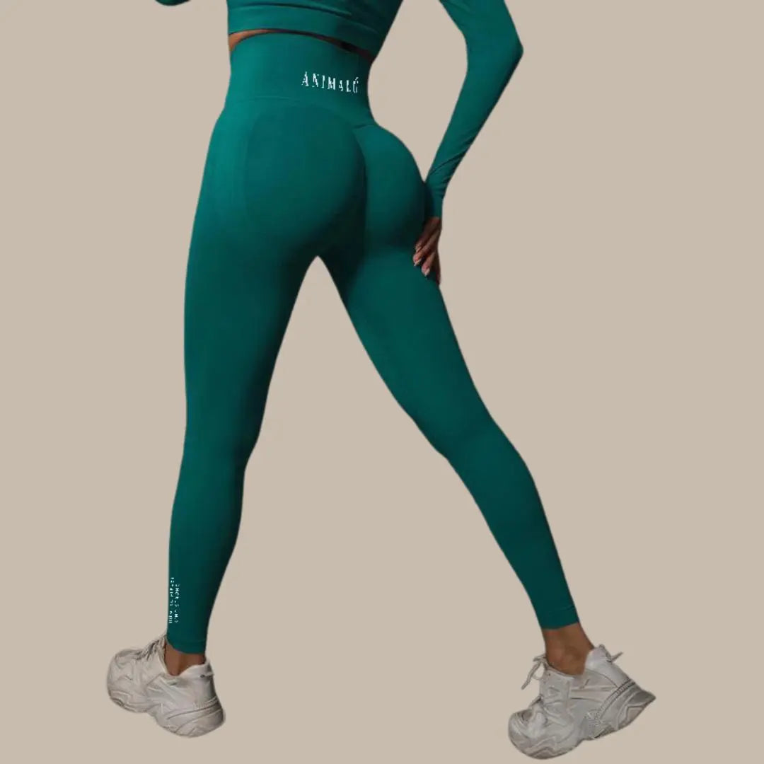 Seamless Yoga Leggings Va