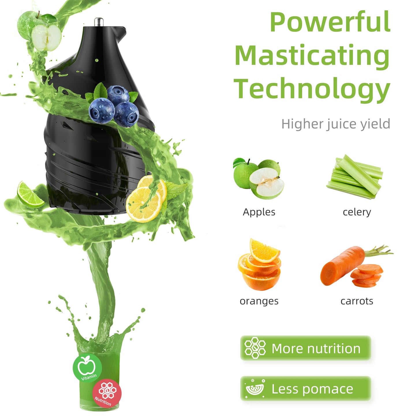 Cold Press Powerful Juicer Vakasi